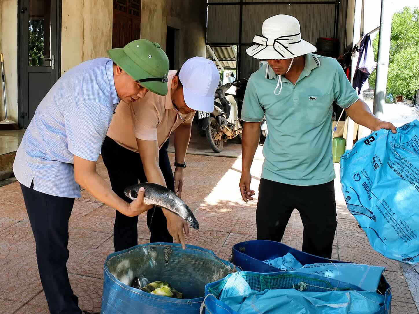 More than 3 tons of snakehead fish were damaged after the pond was struck by lightning. Photo: Sen Ngu Commune People's Committee