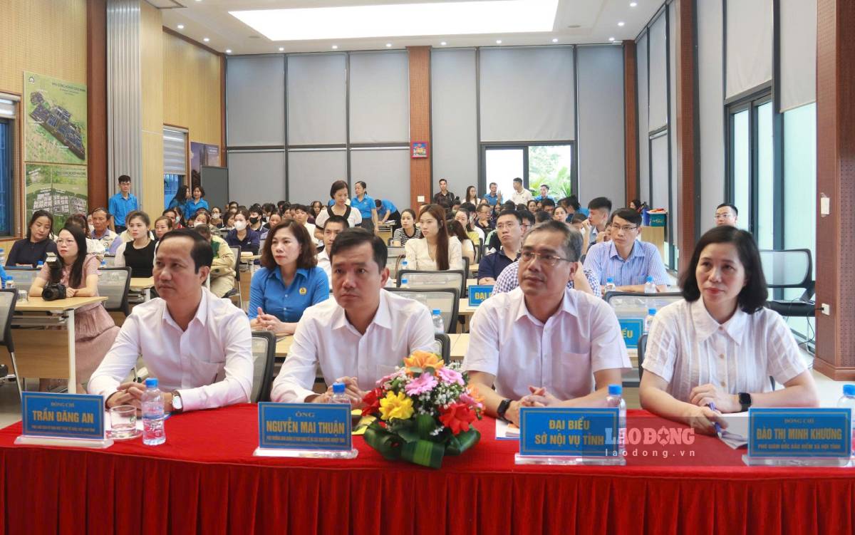 Hội nghị