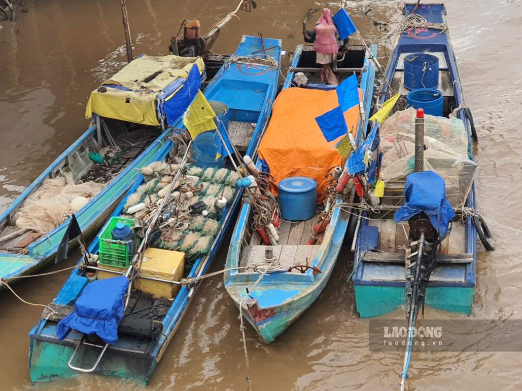 Cà Mau siết chặt quản lý tàu cá khai thác thuỷ sản. Ảnh: Nhật Hồ.