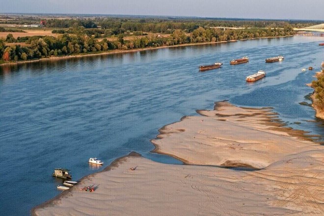 The Danube River's record low water level has revealed mamut bone patches in Bulgaria. Photo: AFP