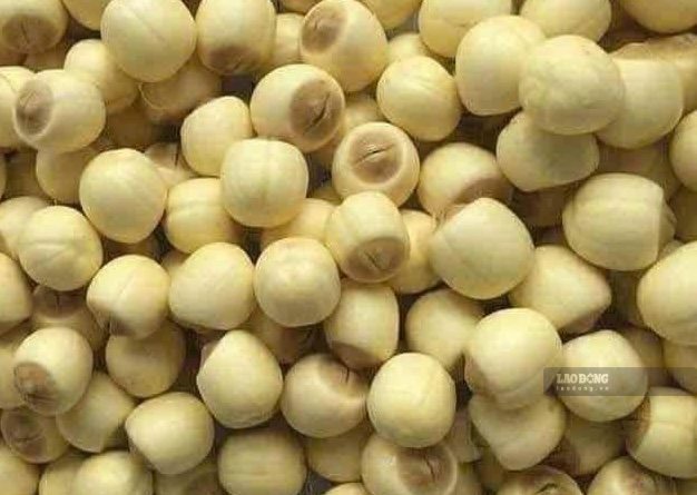 Lotus seeds can support good sleep and beautify skin. Photo: Kieu Vu