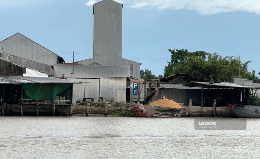 The pollution of ash and dust from the rice mill in Quoi An commune has lasted for many years, affecting people's lives and activities. Photo: Hoang Loc