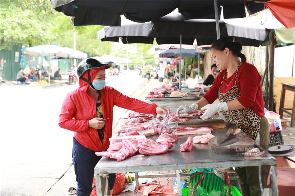 El precio del cerdo vivo hoy sigue bajando. Foto: Hai Nguyen