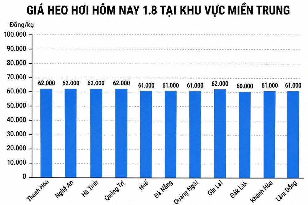 Giá heo hơi hôm nay 1.8 tại khu vực miền Trung. Đồ họa sử dụng AI