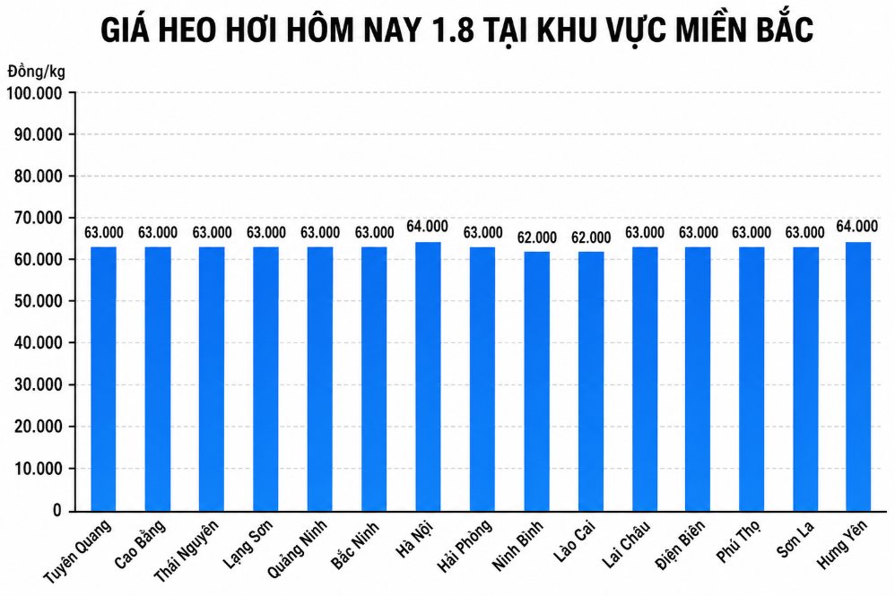 Giá heo hơi hôm nay 1.8 tại khu vực miền Bắc. Đồ họa sử dụng AI