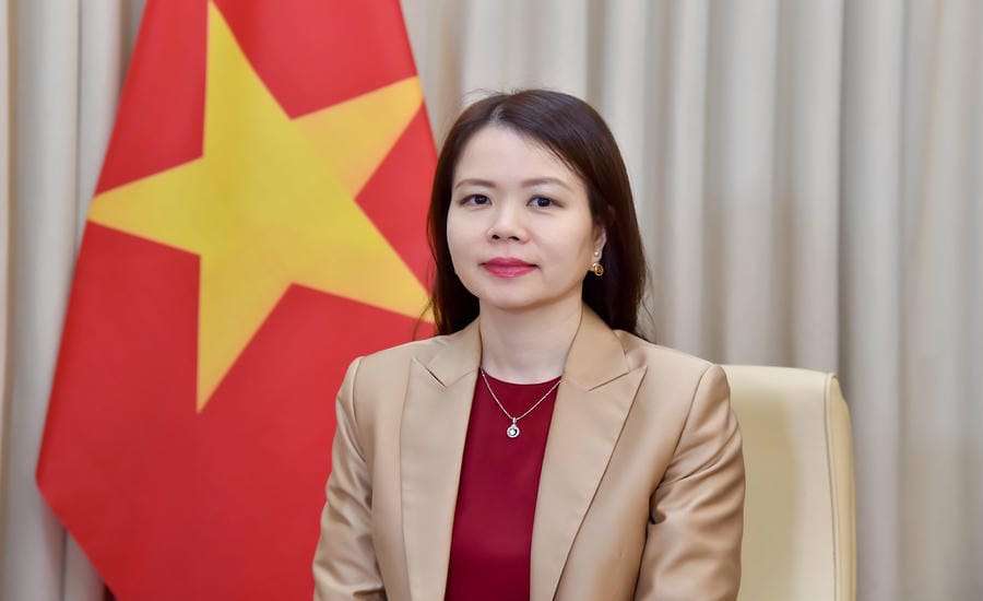 Deputy Minister of Foreign Affairs Nguyen Minh Hang. Photo: Ministry of Foreign Affairs