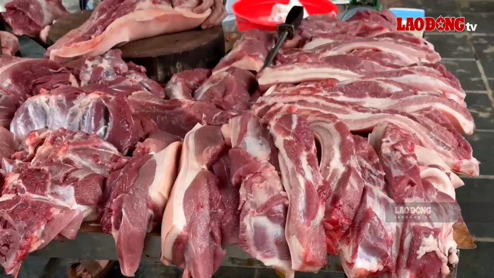 Live hog prices have continuously decreased recently. Photo: Thuy Linh