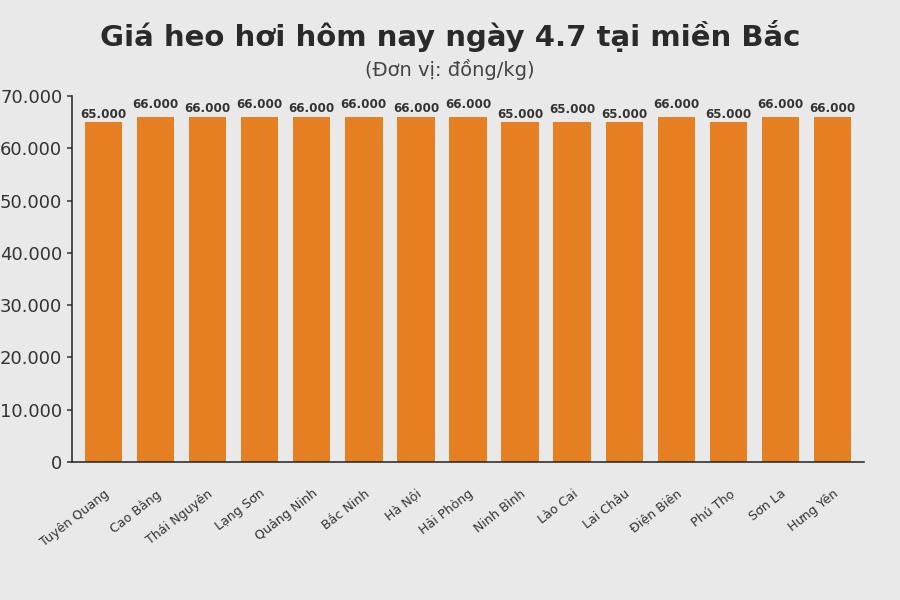 Giá heo hơi hôm nay 4.7 tại khu vực miền Bắc. Đồ hoạ: Sử dụng AI
