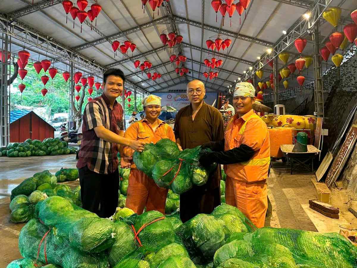 Dozens of tons of cabbage distributed free of charge to Do Son people before the storm. Photo: Do Son Ward