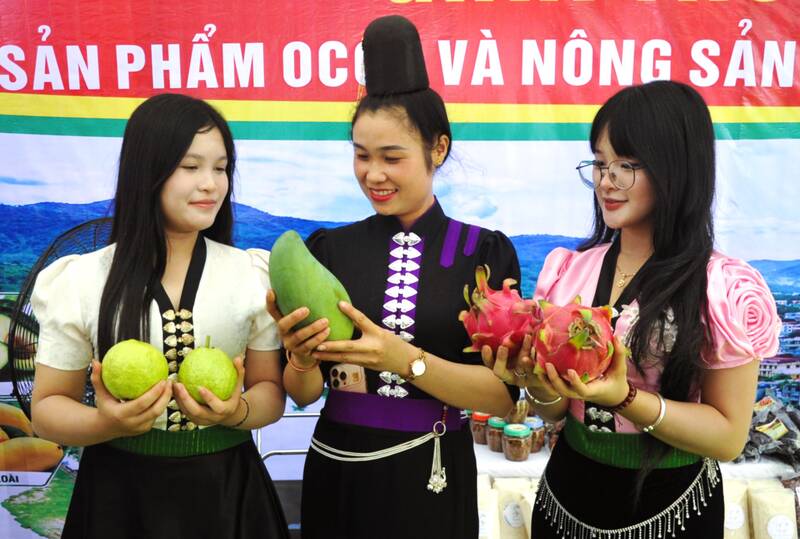 Các gian hàng sản phẩm nông nghiệp địa phương. Ảnh: Trường Sơn