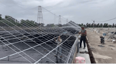 Aquaculture farmers in Hung Yen reinforce cages to respond to storm No. 1. Photo: Luong Ha