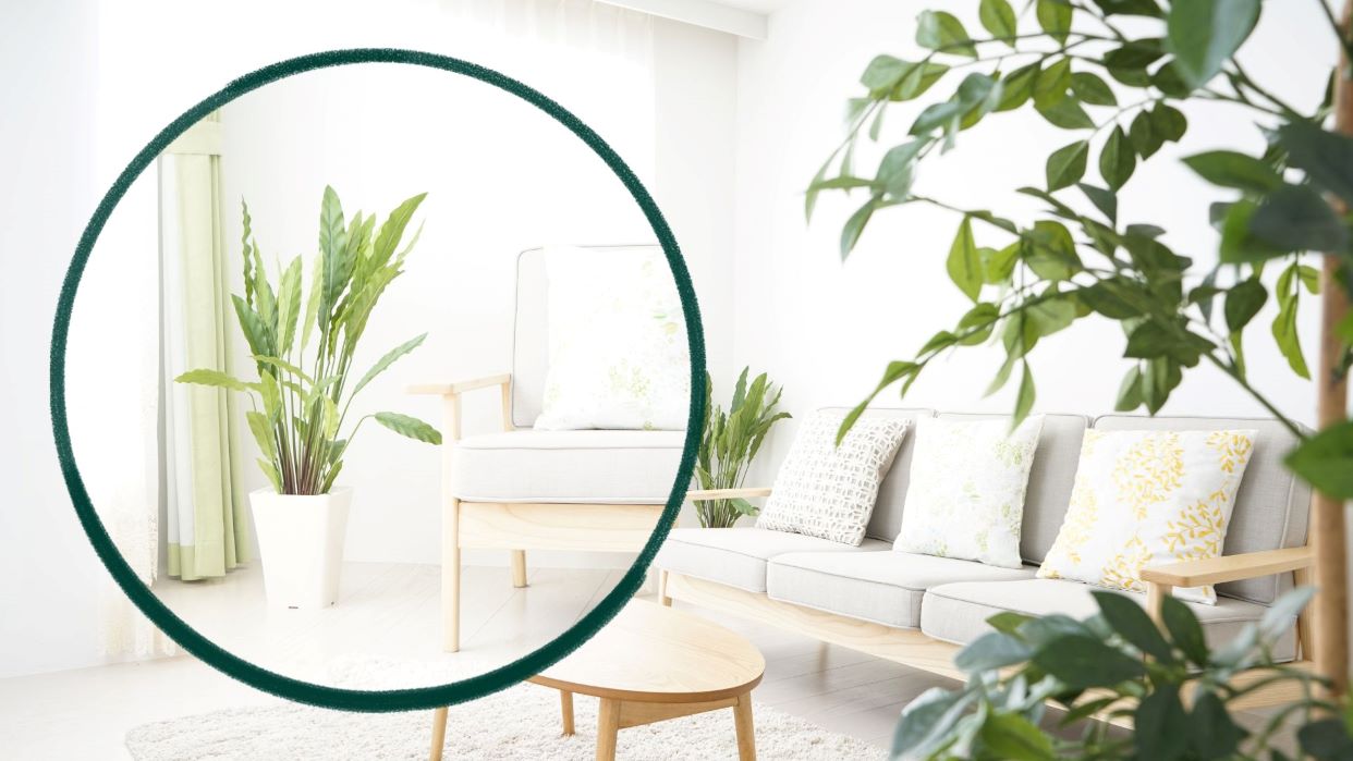 Green trees help the living room space become fresh, lively and close to nature. Graphics: Thanh Thanh