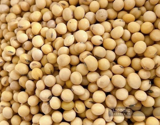 Supplementing magnesium from soybeans will be effective when used properly. Photo: Kieu Vu