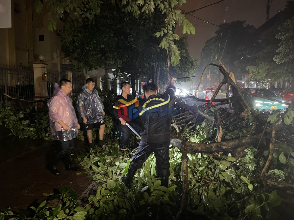 Functional forces of Mong Cai 1 ward, Quang Ninh province pruning fallen green trees due to the impact of storm No. 1. Photo: Quang Ninh Provincial Newspaper, Radio and Television