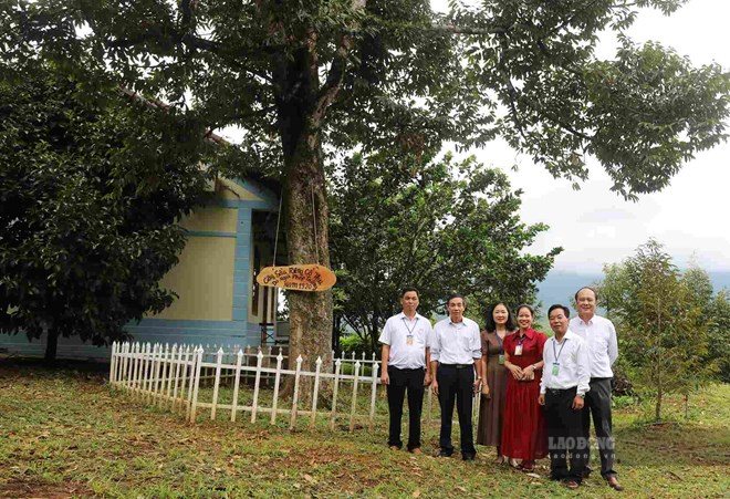 Durian tree over 100 years old, considered a "treasure" of Da Huoai land. Photo: Phuc Khanh