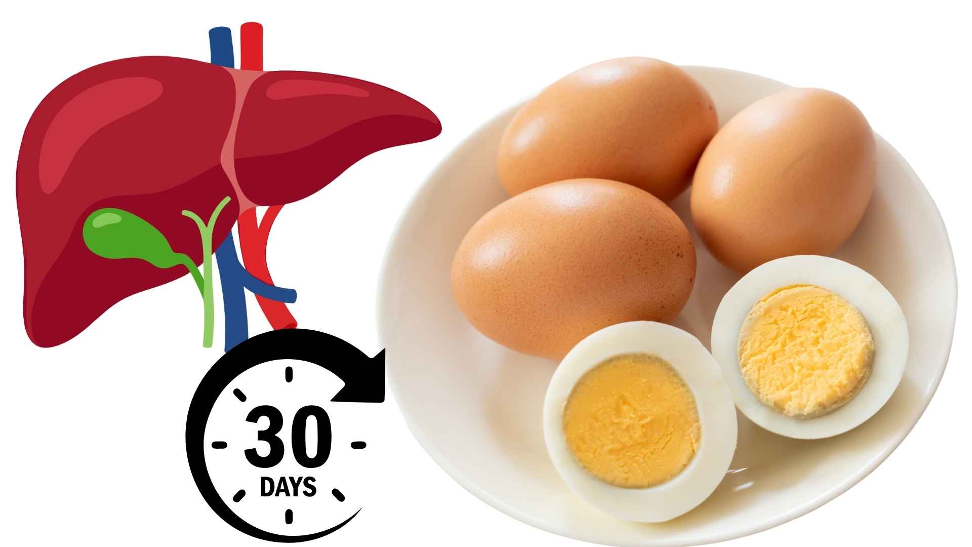 Maintain eating boiled eggs every morning in a reasonable amount, good for liver function. Graphics: Ha May/Source Canva