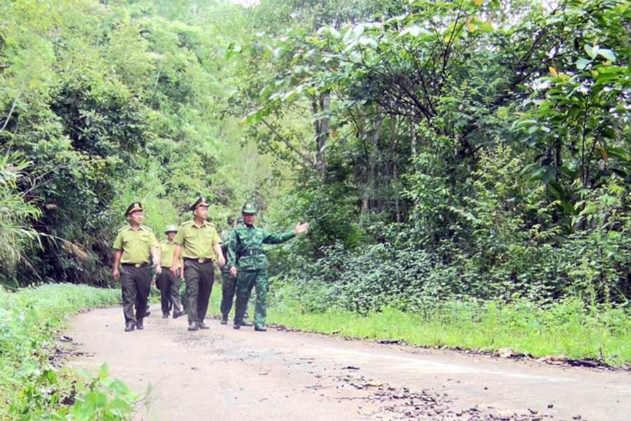 The working delegation led by Mr. Tran Dung Tien, Deputy Director of the Department of Agriculture and Environment of Son La province, inspected the current status of forests in key areas in the province. Photo: Son La e-Portal