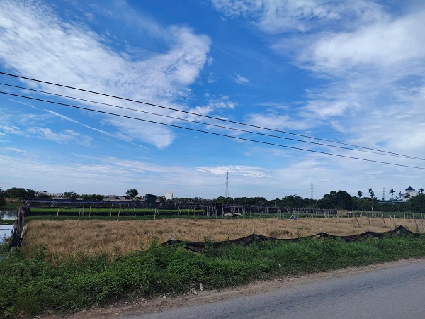 Regulations on calculating land use fees when converting agricultural land to residential land are of great interest to many people. Photo: Xuyen Dong