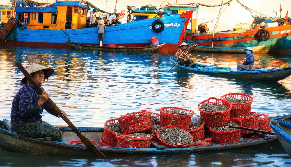 Chợ nổi Nghĩa An không chỉ là nơi mua bán hải sản, mà còn phản ánh nhịp sống mưu sinh của người dân vùng biển xã An Phú. Ảnh: Đông Giang