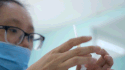 Dengue fever increases, doctors analyze the problem of appropriate vaccination costs