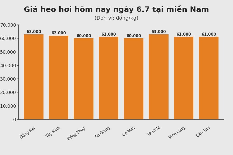 Giá heo hơi hôm nay 6.7 tại khu vực miền Bắc. Đồ họa: Sử dụng AI