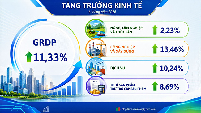 Economic growth structure in the first 6 months of 2026 of Hai Phong City. Photo: Hai Phong e-Portal
