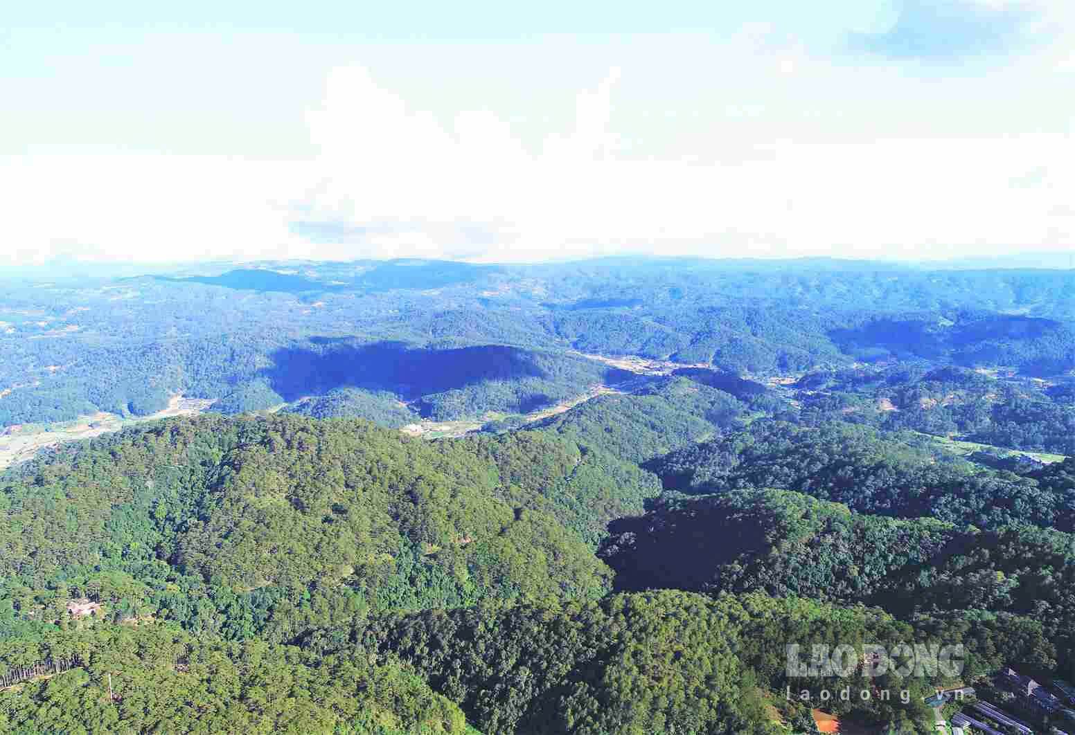 Lam Dong province pays more than 142.7 billion VND. Photo: Phuc Khanh