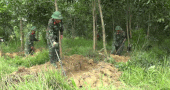 Zoning and searching for martyrs' graves in the Cau Nhi area. Photo: Xuan Dien
