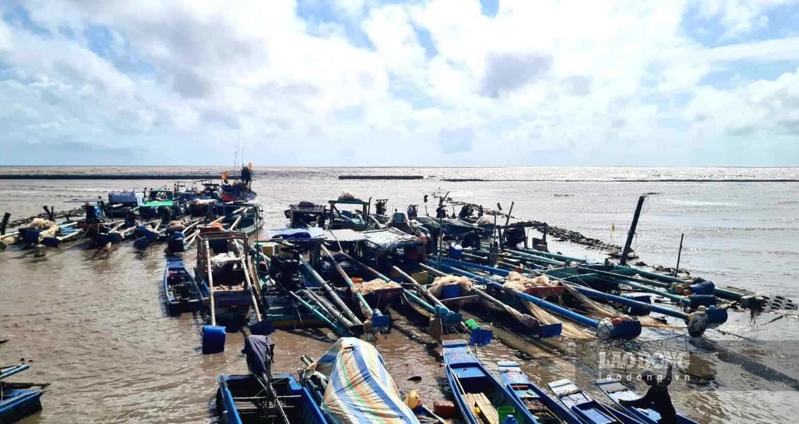 Ca Mau is making efforts to gradually reduce near-shore fishing vessels. Photo: Nhat Ho