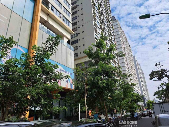 Experts predict apartment prices are unlikely to fall deeply. Photo: Binh Nguyen