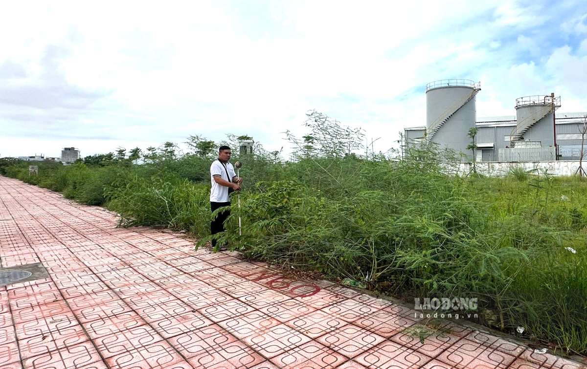 Area of 13 households in Do Son ward, Hai Phong receiving resettlement land. Photo: Hoang Khoi