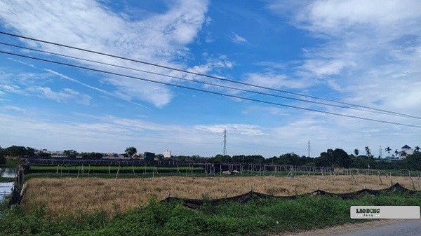 According to current regulations, land use fee reduction when converting agricultural land to residential land is only applied once. Photo: Xuyen Dong