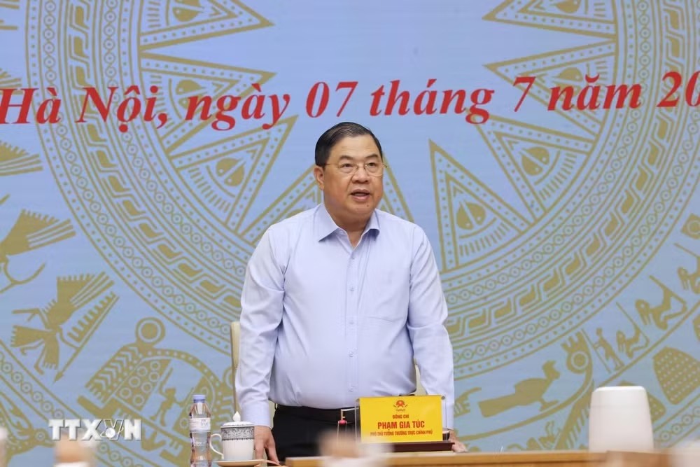Ủy viên Bộ Chính trị, Phó Thủ tướng Thường trực Chính phủ Phạm Gia Túc. Ảnh: TTXVN
