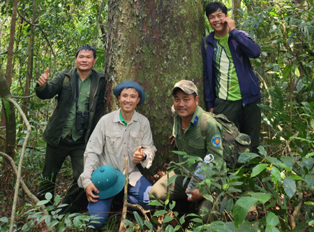 The endangered plant species has just been discovered and recorded by survey teams. Photo: Kon Chu Rang Conservation Area Management Board