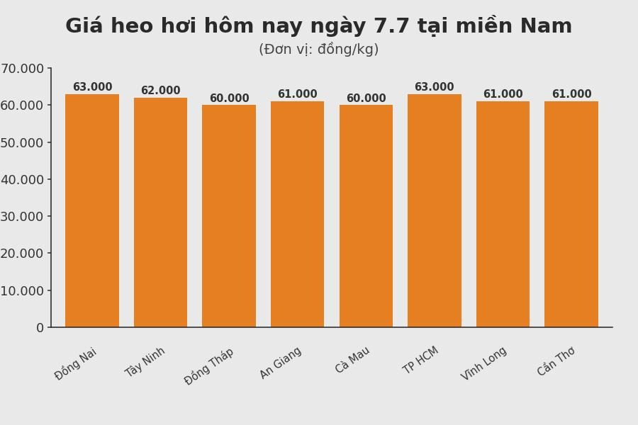 Giá heo hơi hôm nay 7.7 tại khu vực miền Nam. Đồ họa: Sử dụng AI