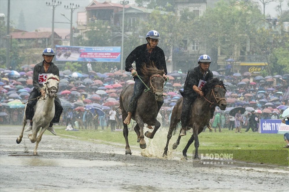 A horse race in Lao Cai. Photo: Dang Khoa