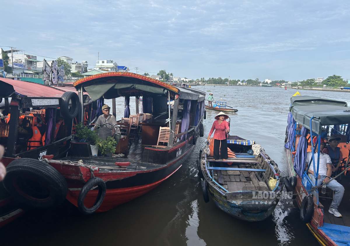 Nhộn nhịp tàu ghe tham quan Chợ nổi Cái Răng. Ảnh: Lương Hạnh 