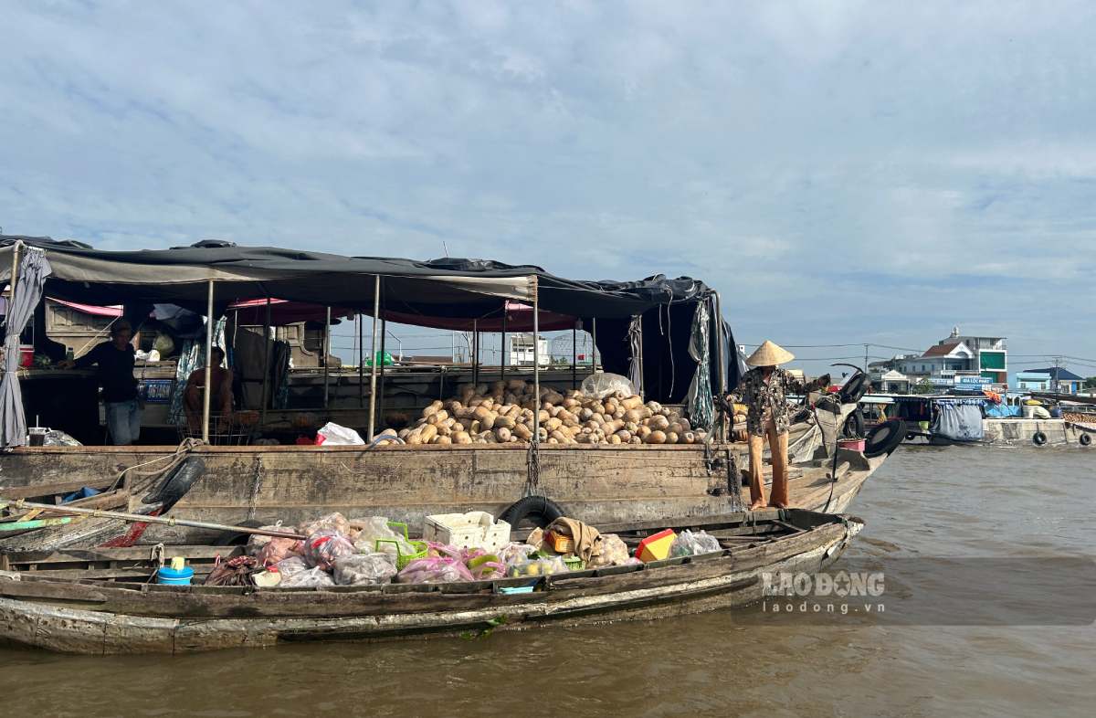 Boats going up and down the Can Tho River carrying goods to spread everywhere, through generations have formed a "river and water cultural economy". Photo: Luong Hanh