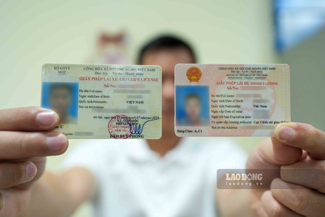 People with damaged driver's licenses that are no longer usable must renew their driver's licenses. Photo: Song Huu