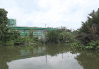 People in Ho Chi Minh City hope Song Tan pond and Ong Lon river will soon have a new face.