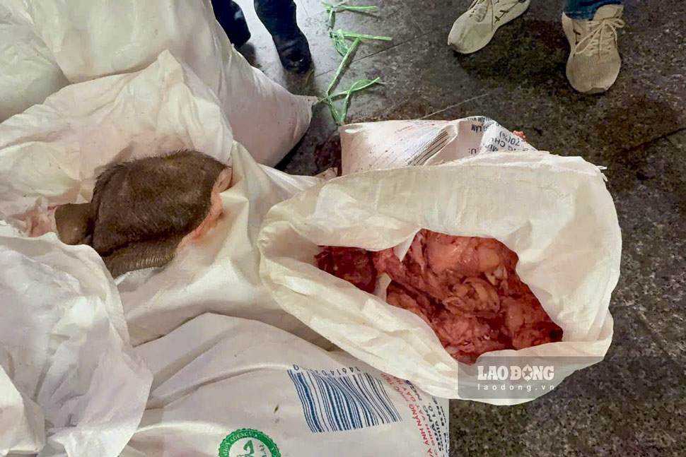 Functional forces of Gia Lai province discovered and temporarily seized more than 2 tons of animal fat and skin of unknown origin. Photo: Hoai Phuong