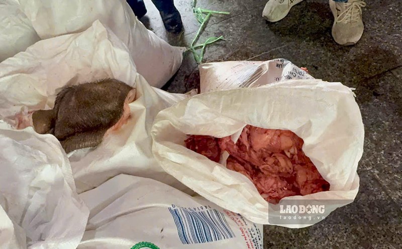 Functional forces of Gia Lai province discovered and temporarily seized more than 2 tons of animal fat and skin of unknown origin. Photo: Hoai Phuong