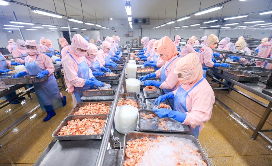 Some key seafood products still maintain impressive growth momentum such as shrimp, pangasius, squid, octopus, crab, crab... Photo: Hai Nguyen