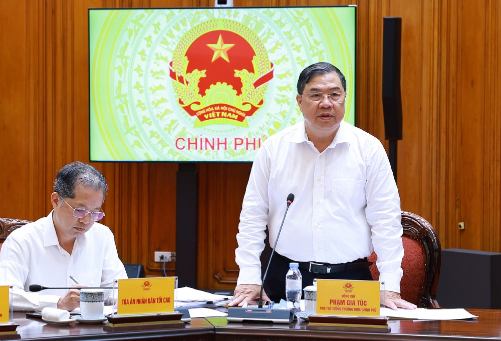 Ủy viên Bộ Chính trị, Phó Thủ tướng Thường trực Chính phủ Phạm Gia Túc phát biểu tại phiên họp. Ảnh: VGP/Nhật Bắc
