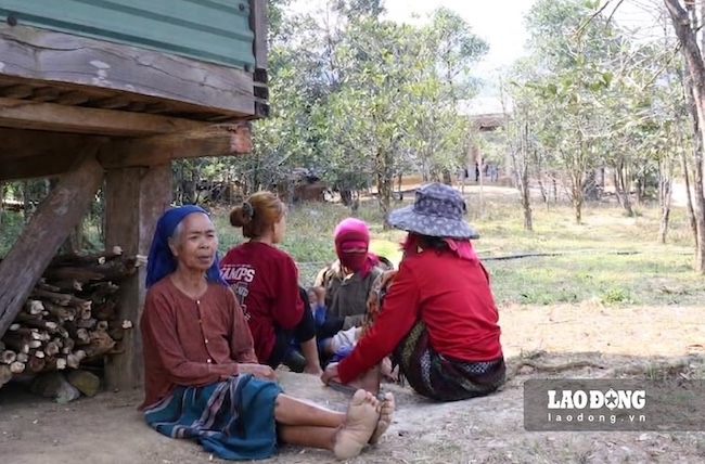Minorities in mountainous areas of Quang Tri province who lack residential land, production land and community living land will be allocated land and exempted from land use fees. Photo: Hung Tho