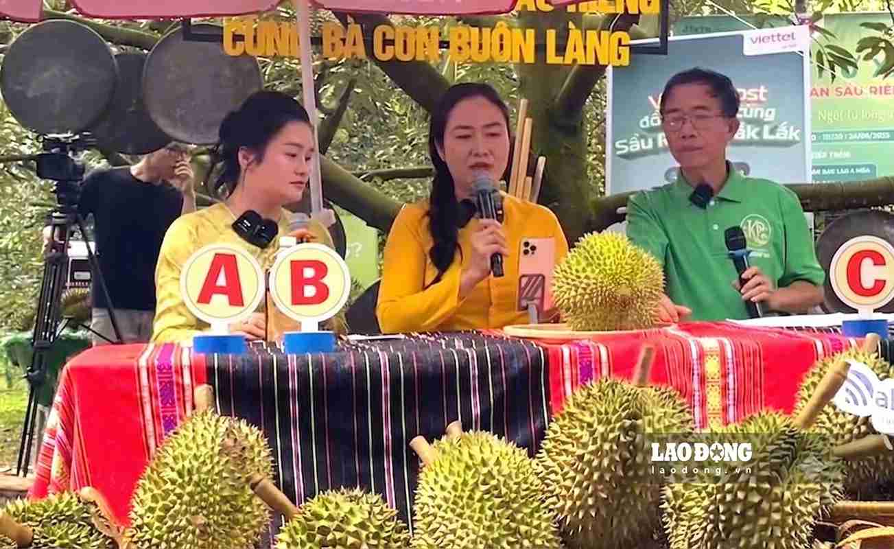 Dak Lak province expects livestream sessions to help farmers in the area increase durian consumption output and improve income. Photo: Bao Trung