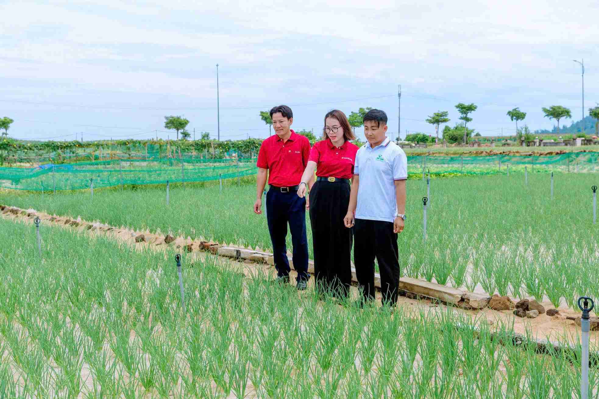 Agribank's capital is always associated with the goal of sustainable development. Photo: Agribank