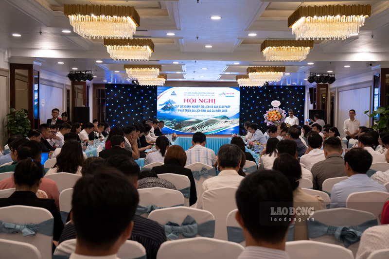 Overview of the conference. Photo: Dinh Dai