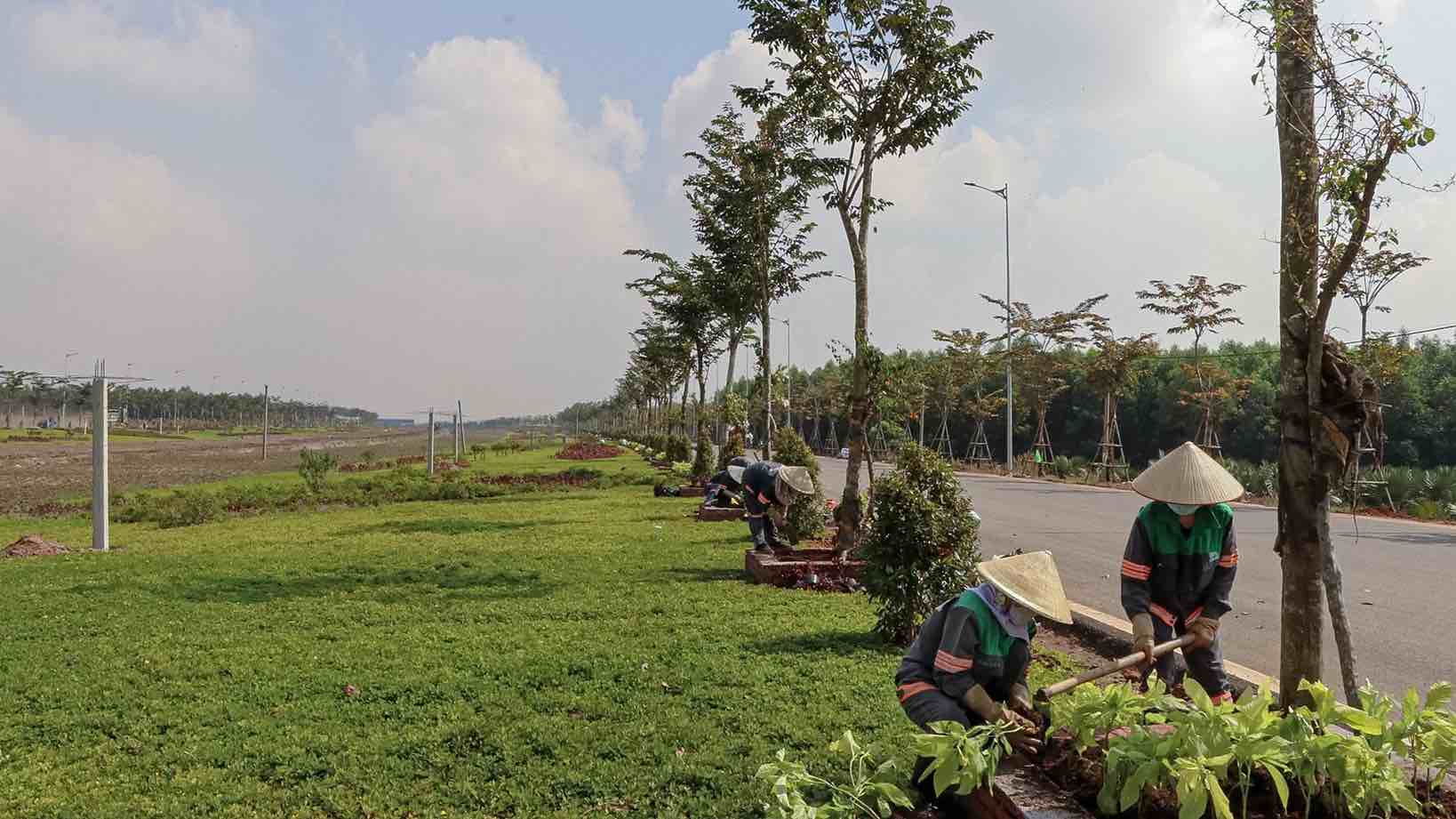 Công nhân thi công gấp rút đua tiến độ dự án sân bay Long Thành. Ảnh: Tổng Công ty Cảng hàng không Việt Nam (ACV)