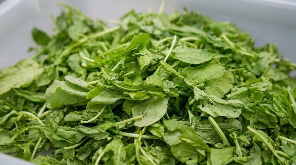 Increasing green vegetables in meals will ensure nutrition for the elderly. Photo: Tuan Dat